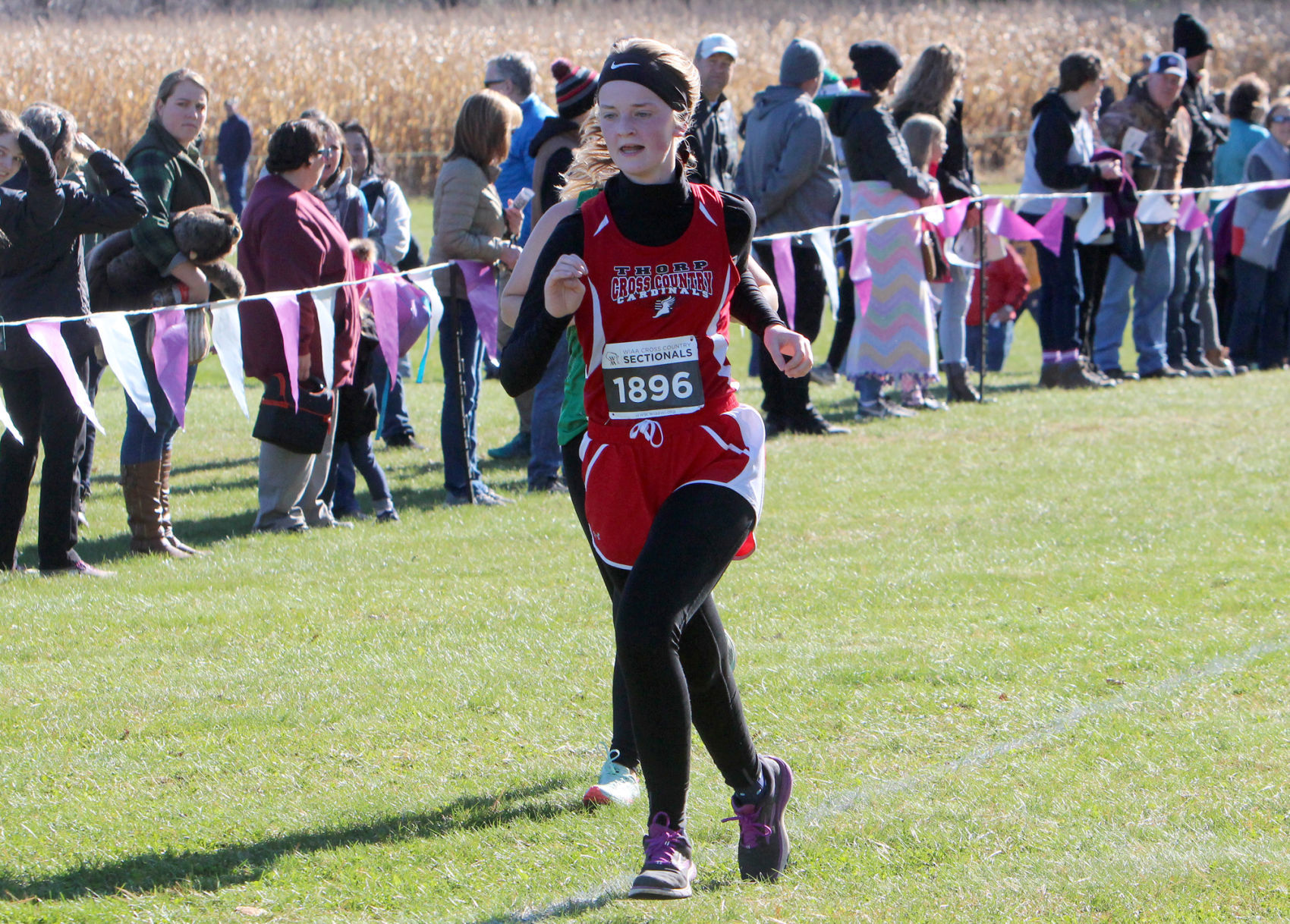 Division 3 Cross Country Sectionals in Boyceville 10-26-19